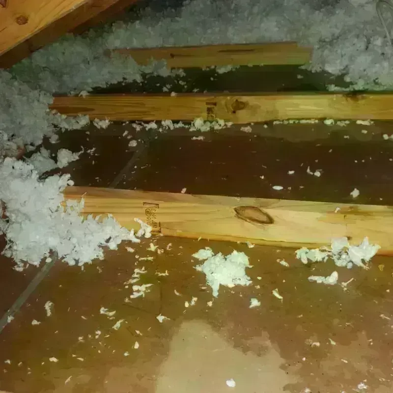 Attic Water Damage in Bound Brook, NJ